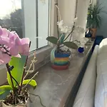 Platz, Natur, Lueneburg - Heidberg